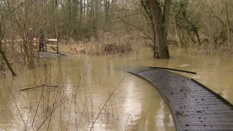 Flooded boardwalk at Sculthorpe Moor