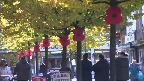 BBC Poppies on trees