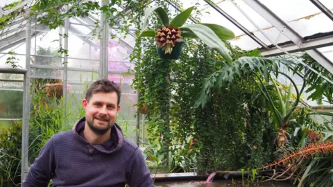 Cambridge University Botanic Garden Alex Summers by the bulbophyllum phaleenopsis