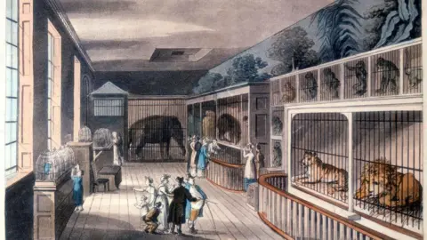 A depiction of a 19th Century menagerie. The picture features elephants, lions and tigers inside cages.