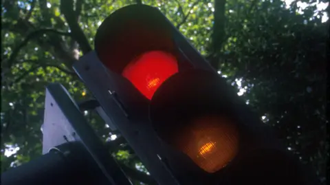 A red traffic light with green leafy trees behind it.