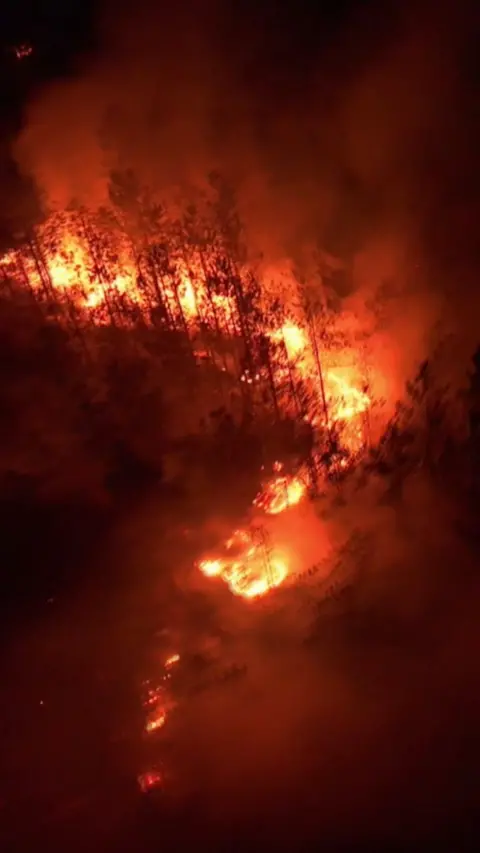 Drone footage shows a line of fire and burnt trees