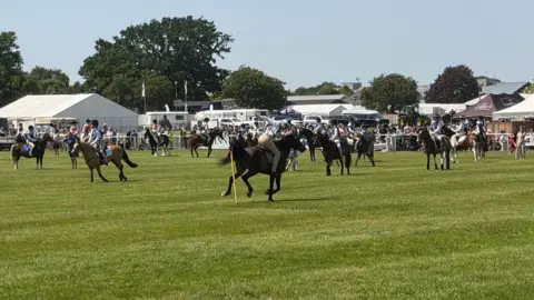 Liz Nice/BBC Ponies galloping in and out of poles with tents and crowds in the background