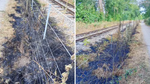 Two images of burnt vegetation beside a railway track.