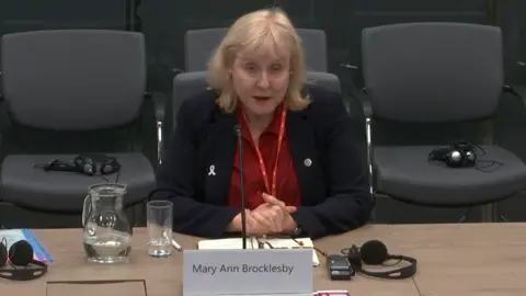 Senedd Cymru Mary Ann Brocklesby speaking in a Senedd committee room. She is sat at a desk with a board showing her name placed in front of her. Chairs are behind her.