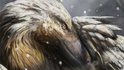 An artist's impression of a dromaeosaur, a type of feathered theropod, in the snow.