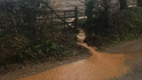 The picture shows brown water running off the soil in a farmer's field and onto a country road.