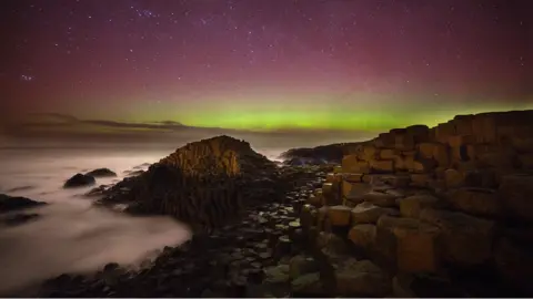 Martina Gardiner Giant's Causeway