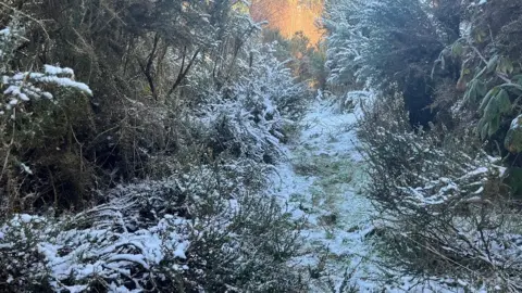 Buglife One of the sites