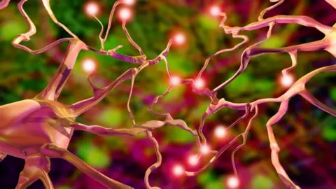 Science Photo Library Nerve cells