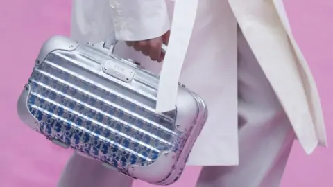 EPA Dior bag