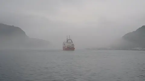 The St John's harbour