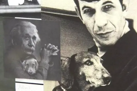 Reuters Famous dachshund owners, shown in museum