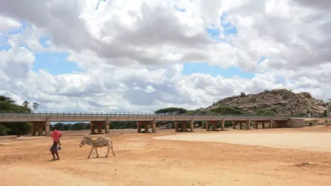 Getty Images A man and his donkey cross a dried up river - Friday 24 May 2019