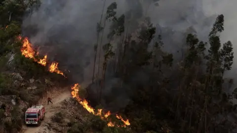 EPA Fire in Monchique on 3 August