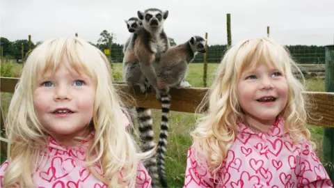 Helen Peck Mary (on the left) and Rosie when they were aged three at Blair DrummondSafari Park