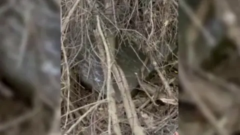 Reuters Police released a picture of the dried up riverbed where the paintings were found