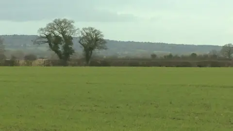 The rented field in Rossett was filled with sheep before the theft