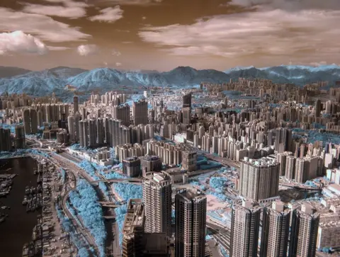 Halu Chow A city view with plant life coloured in blue