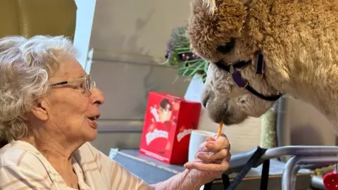 Adept Care Homes A resident feeding the alpaca a carrot