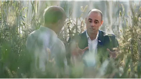 BBC News Crops in glasshouse