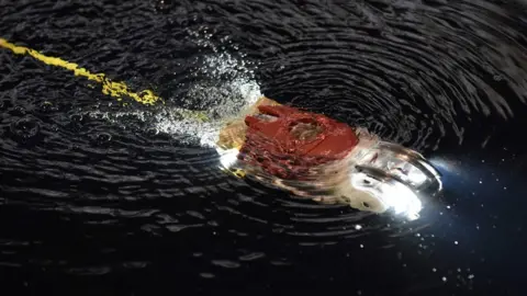 AFP Toshiba's swimming robot