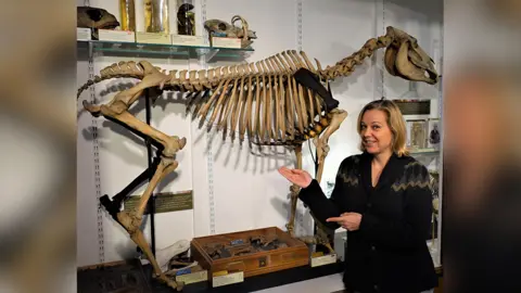 Tannis Davidson Tannis Davidson hopes someone knows where the missing back leg is