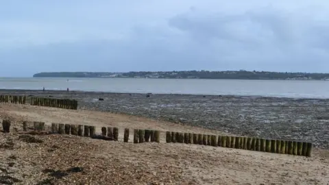 David Martin  Stone Point, Lepe