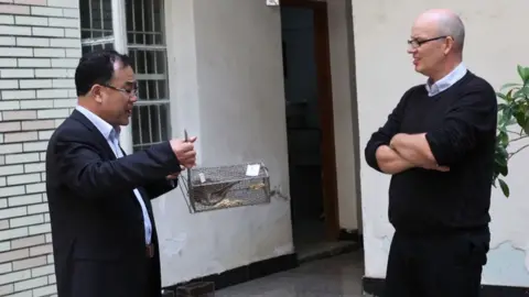 Eddie Holmes Prof Zhang and Prof Holmes examine a rat in a trap during an infectious disease research trip to China in 2013