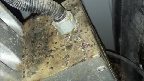 Cardiff council Rodent droppings at Andalucia Kebab House