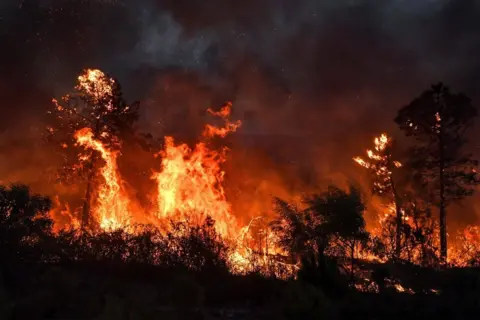 Getty Images A wildfire near the Tunisian village of Melloula