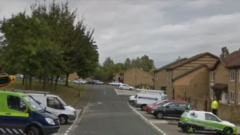 Google General view of Kirkdale green