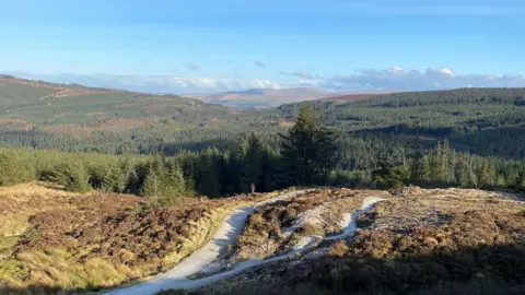 Gortin Glen Forest Park, County Tyrone