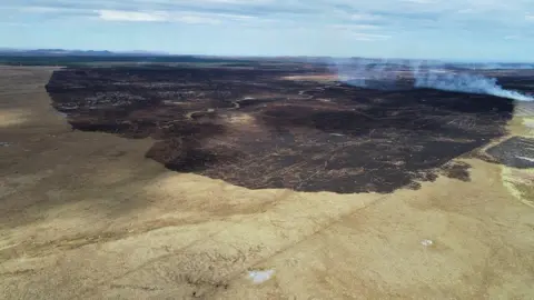 Paul Turner/RSPB Images Wildfire