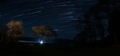 Eloise Smith Light trails taken on a long exposure with two trees in the foreground