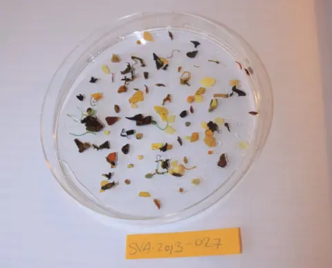 Record concentration of microplastics found in Arctic - BBC News