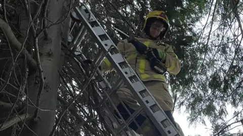 Shropshire Fire and Rescue Service Firefighter in the tree