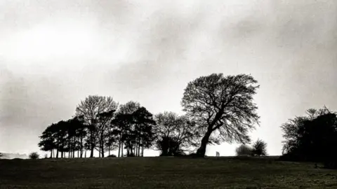 Debbie Cleaveley Black and white photo of the Lonely Tree