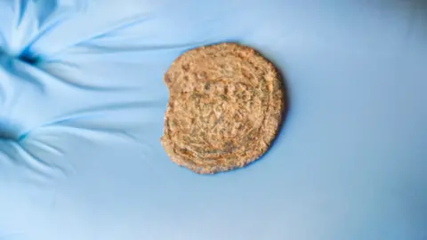 National Trust Medieval token found in Norfolk