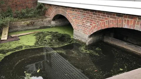 RSPCA Outside view of the watermill