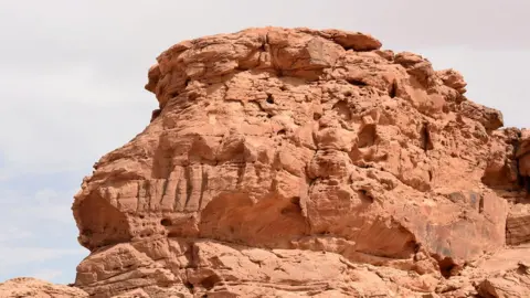 AFP Camels carved into rock faces in Saudi Arabia