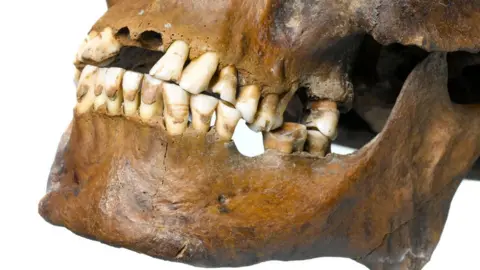 MOLA Headland Infrastructure Skeleton