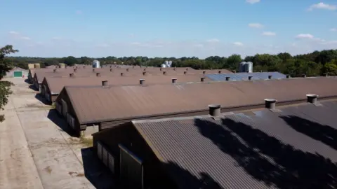 Anthony Saddington/BBC Existing chicken sheds at Fennings Farm in Suffolk