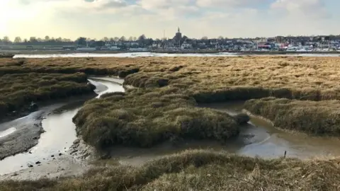 Sal marshes in Maldon, Essex