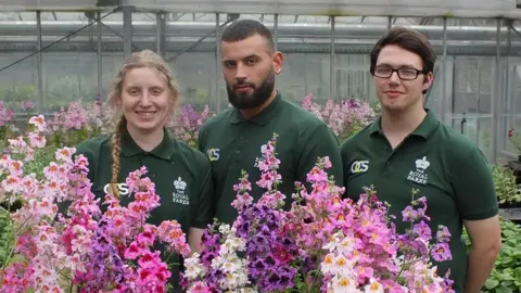The Royal Parks Former apprentices at Hyde Park's 'Super Nursery'