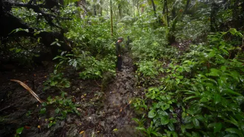 Getty Images Indonesian members of the JRSCA (Javan Rhino Study and Conservation Area) inspecting the forest inside Ujung Kulon National Park
