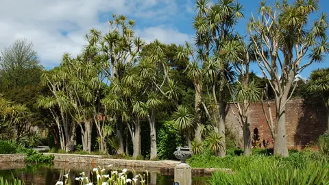 Logan Botanic Garden Walled garden again