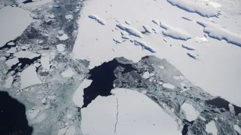 Getty Images Sea ice floats around a group of islands as seen from NASA's Operation IceBridge research aircraft off the coast of the Antarctic Peninsula region