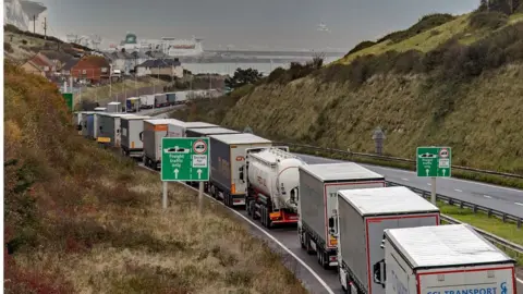 Stuart Brock/EPA-EFE/REX/Shutterstock Long queues near the Port of Dover