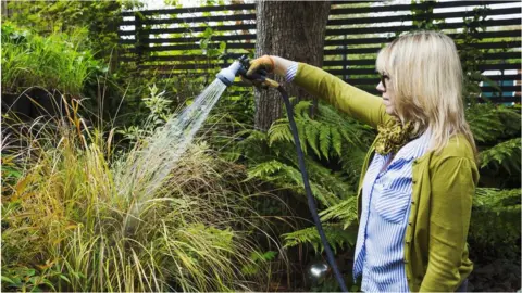 Getty Images Woman watering her garden